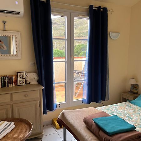 Appartement Aloès à Cerbère Extérieur photo